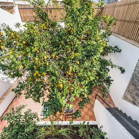 Lemon Tree Stay-2